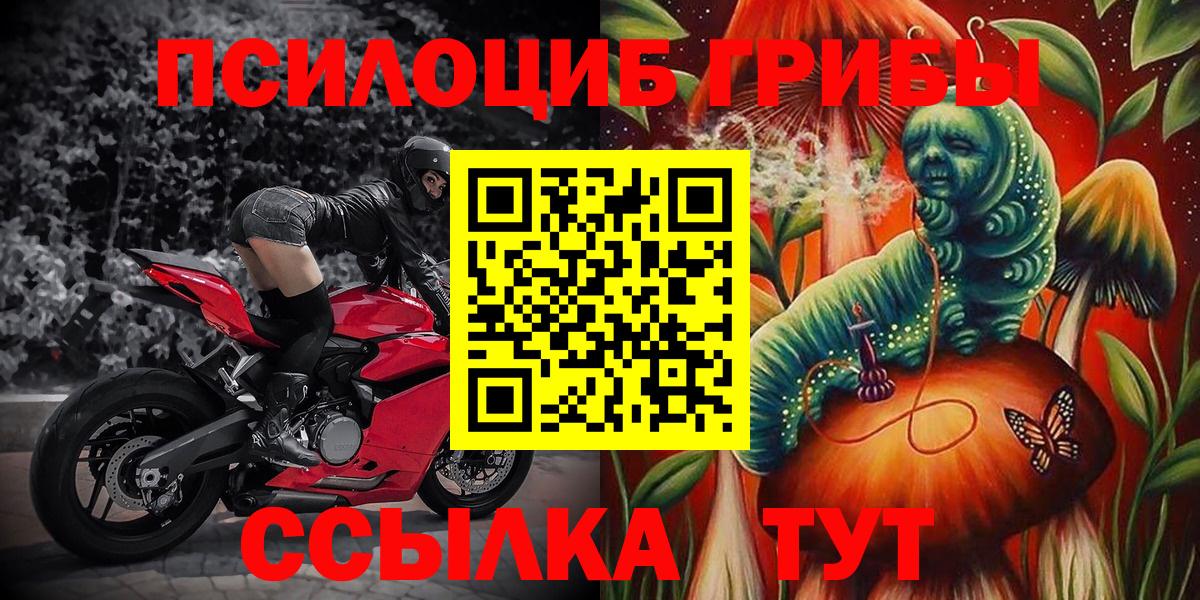 Галлюциногенные грибы мицелий Люберцы
